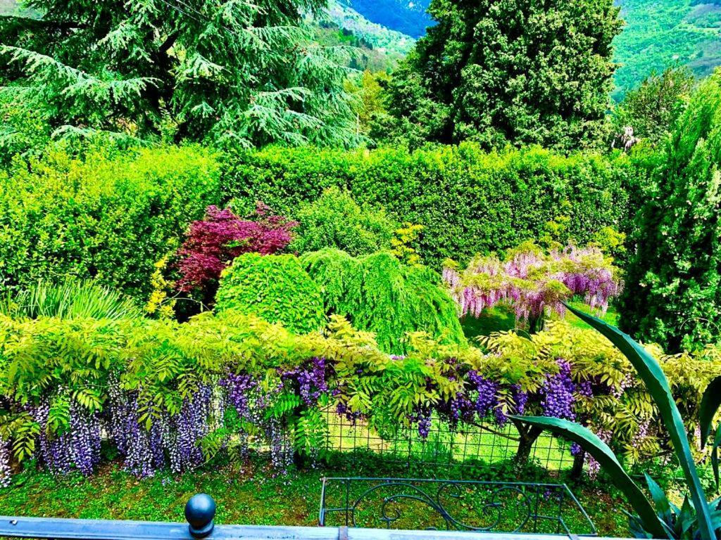 Il Piccolo Paradiso Villa Seravezza