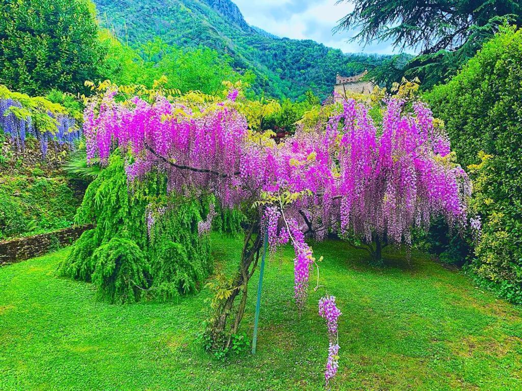 Il Piccolo Paradiso *