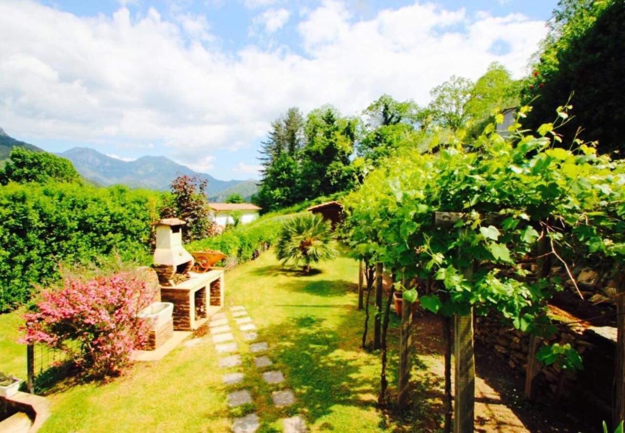 Il Piccolo Paradiso Villa Seravezza